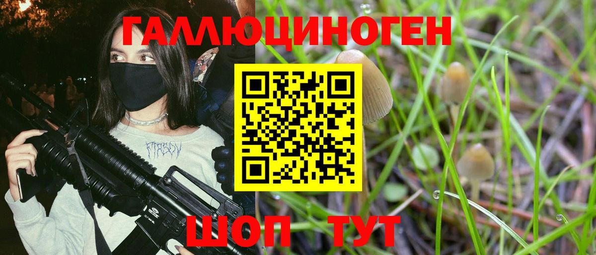 Выкса  Галлюциногенные грибы мухоморы  Галлюциногенные грибы GOLDEN TEACHER  Вход с VPN 